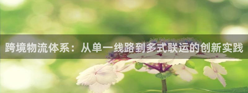 南宫超凡国际怎么注册：跨境物流体系：