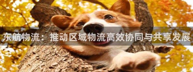 超凡国际返水怎么算的