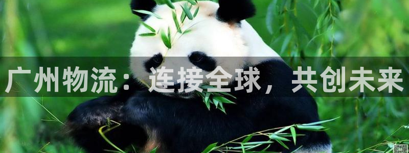 超凡国际注册用户名是什么：广州物流：