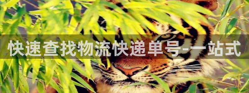超凡国际提现未达5期是什么意思：快速