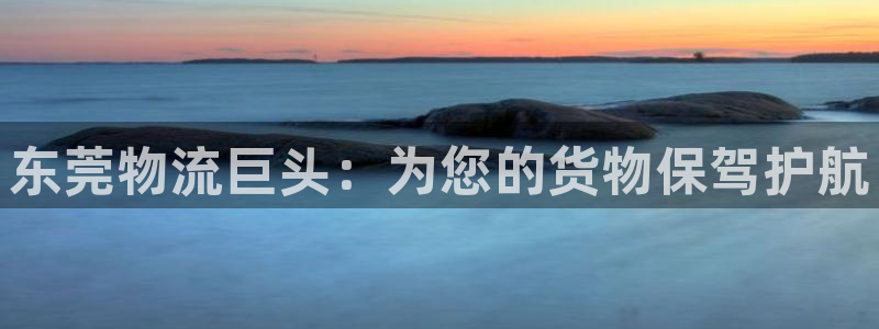 超凡国际自行车图片：东莞物流巨头：为您的货物保驾护航