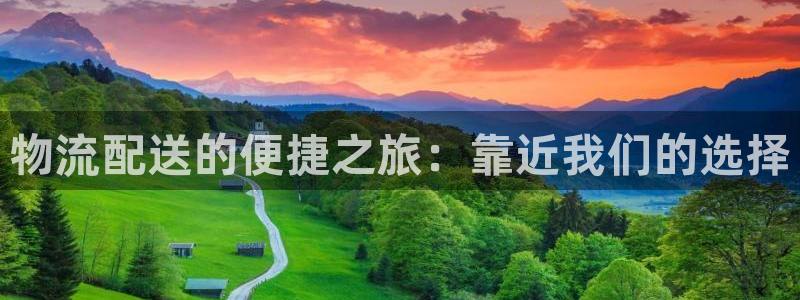 超凡国际ip被限制怎么解决：物流配送