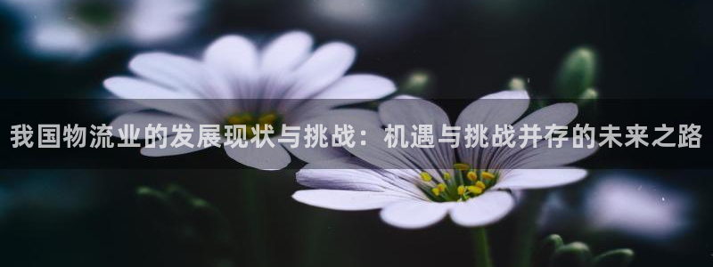 超凡国际：我国物流业的发展现状与挑战