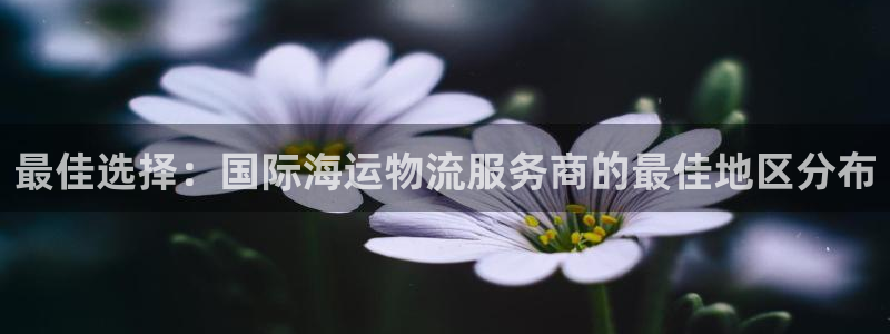 超凡国际官网平台：最佳选择：国际海运