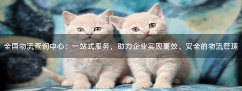 自行车超凡国际是什么意思：全国物流查