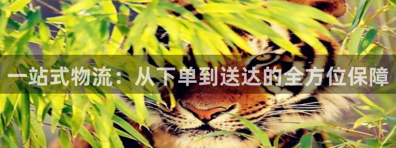 超凡国际注册入口与教程：一站式物流：