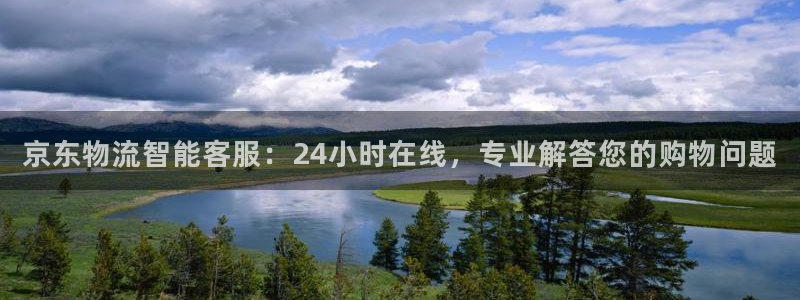 超凡国际p扣除：京东物流智能客服：2