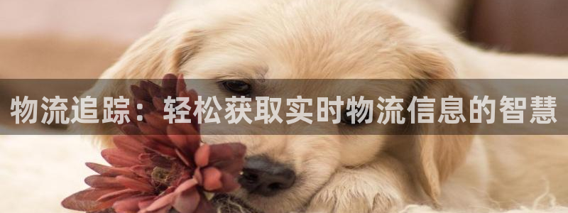 超凡国际初始密码在哪里修改的：物流追