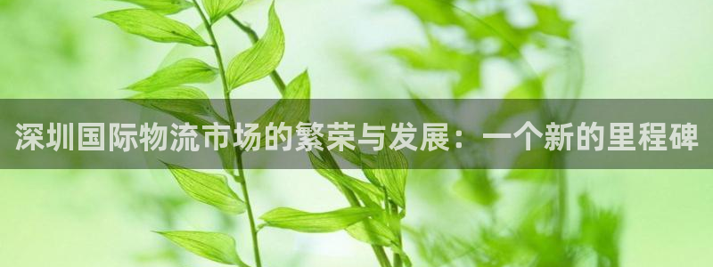 超凡国际是南宫旗下的吗：深圳国际物流