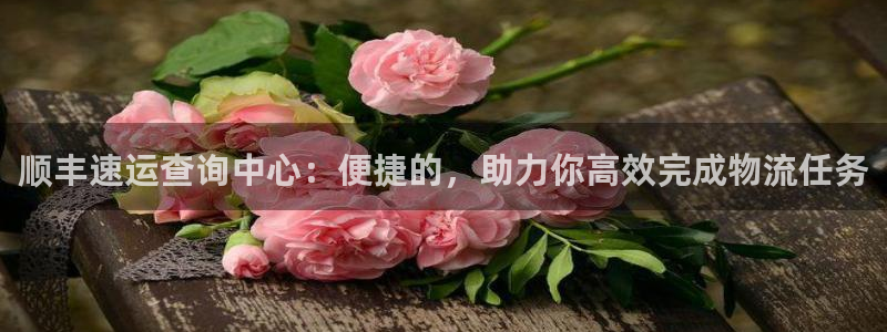 超凡国际不给提现：顺丰速运查询中心：